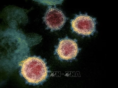 Phát hiện mới về chi tiết cấu trúc của virus SARS-CoV-2