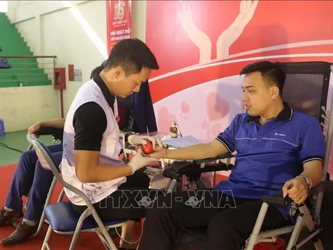 Sức sống bền bỉ của phong trào hiến máu nhân đạo