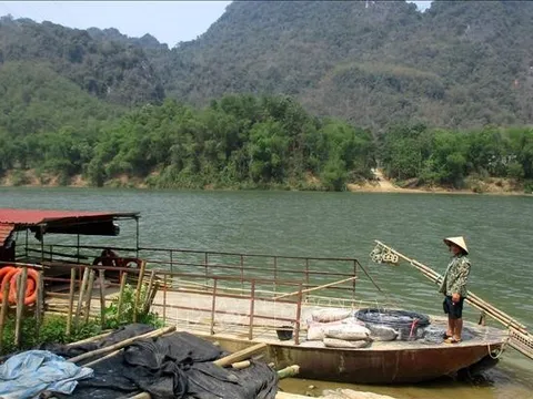 Tròng trành con chữ ở làng Bèo Bọt