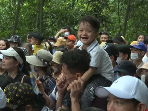 Chưa đến ngày giỗ Tổ, đền Hùng đã đón gần 5.000 phương tiện chở khách