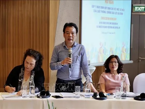 Thi hành Luật Phòng, chống bạo lực gia đình: Tăng cường các biện pháp bảo vệ quyền con người