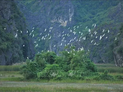 Thay đổi hành vi, thúc đẩy lối sống hài hòa với thiên nhiên