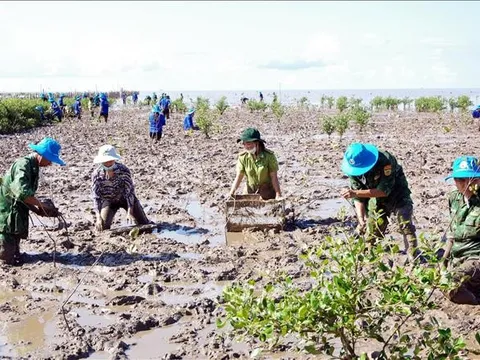 Sóc Trăng tổ chức lễ phát động trồng rừng phòng hộ ven biển