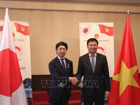 50 năm quan hệ Việt Nam - Nhật Bản: Lễ hội Việt Nam tại Nhật Bản sẽ diễn ra vào đầu tháng 6