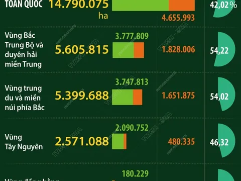 Hiện trạng rừng Việt Nam năm 2022