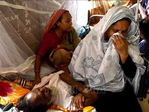 Bangladesh ghi nhận số ca sốt xuất huyết cao kỷ lục