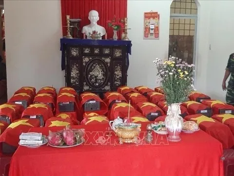 Cất bốc, quy tập 49 hài cốt liệt sỹ tại huyện Giồng Trôm, Bến Tre