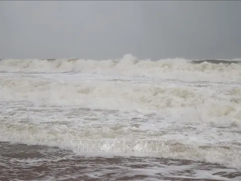 Phòng ngừa, ứng phó tai nạn tàu thuyền do thời tiết nguy hiểm