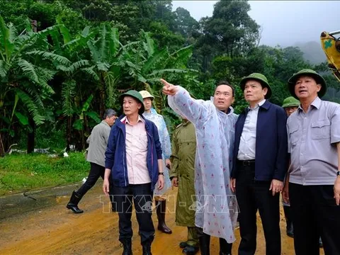Phó Thủ tướng Trần Lưu Quang khảo sát hiện trường vụ sạt lở tại đèo Bảo Lộc