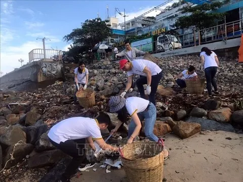 Tình nguyện viên và du khách tham gia dọn hơn 50 tấn rác trên bãi biển Vũng Tàu