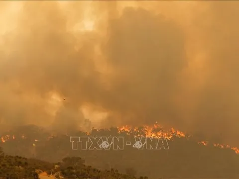 Khôi phục tầng ozone, giảm thiểu biến đổi khí hậu