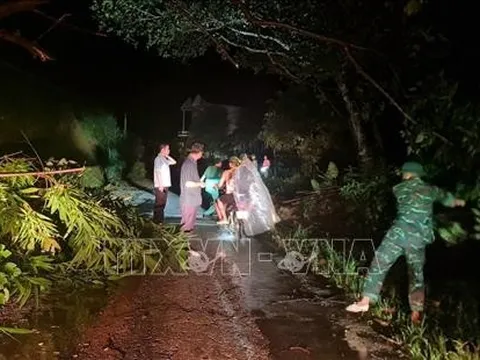 Yên Bái: Mưa lớn gây sạt lở đất làm hai người thiệt mạng