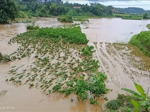 Mưa lũ gây nhiều thiệt hại tại các địa phương