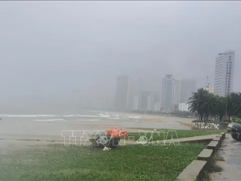 Mưa lớn chưa dứt, Đà Nẵng tiếp tục ứng phó với áp thấp trên biển
