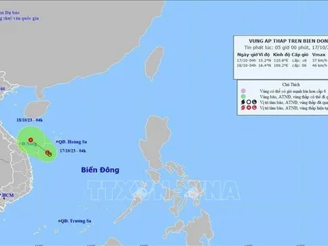 Các tỉnh từ Quảng Ninh đến Khánh Hòa chủ động ứng phó với áp thấp nhiệt đới