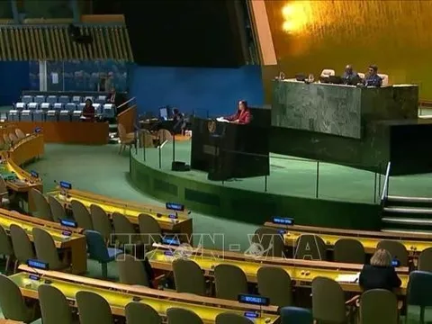Việt Nam nêu bật vai trò của ICJ trong nỗ lực chống biến đổi khí hậu