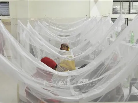 Thủ phạm gây bùng phát dịch sốt xuất huyết tồi tệ nhất ở Bangladesh