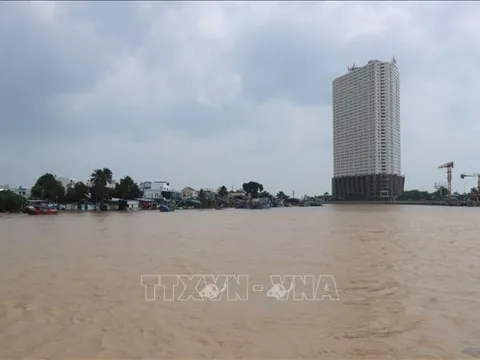 Chủ động ứng phó mưa lũ lớn, đảm bảo an toàn khi ngư dân ra khơi
