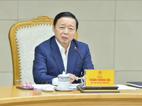 Phát triển thị trường tín chỉ carbon đồng bộ và toàn diện