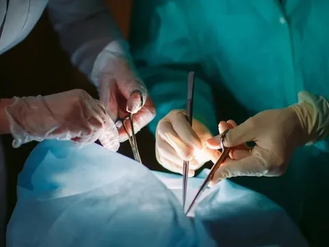 Bệnh nhân Trung Quốc được ghép gan lợn đầu tiên trên thế giới