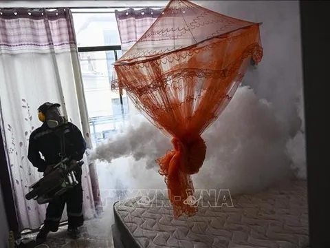 Dịch sốt xuất huyết hoành hành mạnh tại châu Mỹ