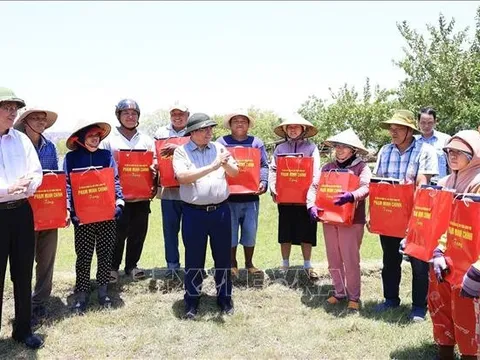 Thủ tướng Phạm Minh Chính kiểm tra, chỉ đạo công tác chống hạn tại Ninh Thuận