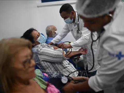 Brazil ghi nhận số ca mắc sốt xuất huyết cao kỷ lục trên 5 triệu ca