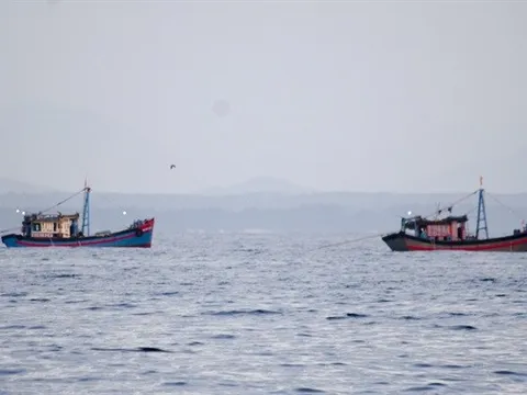 Chủ động ứng phó với gió mùa Tây Nam và thời tiết nguy hiểm trên biển