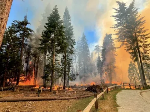 Biến đổi khí hậu: LHQ cảnh báo thế giới đang đi sai hướng