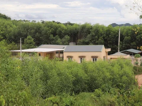 Thanh Hóa: Lò đốt rác hơn 12 tỷ đồng hoạt động 3 ngày rồi bỏ hoang 3 năm vì… điện yếu