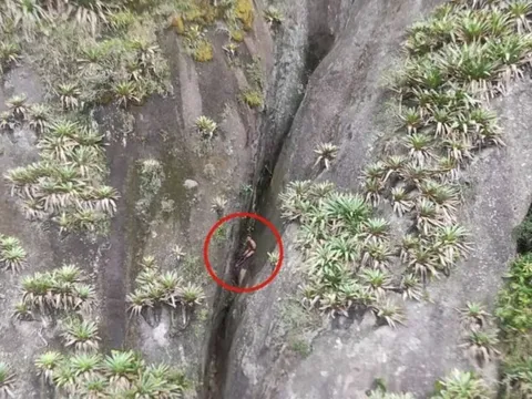 Hy hữu: Giải cứu người đàn ông mắc kẹt ở khe núi cao gần 100m