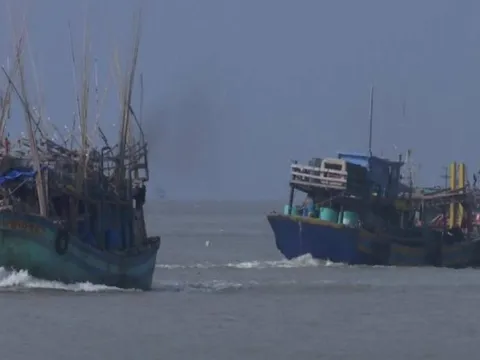 Cà Mau: Phạt 1,3 tỷ đồng và tịch thu tàu cá vi phạm trong đánh bắt thuỷ hải sản