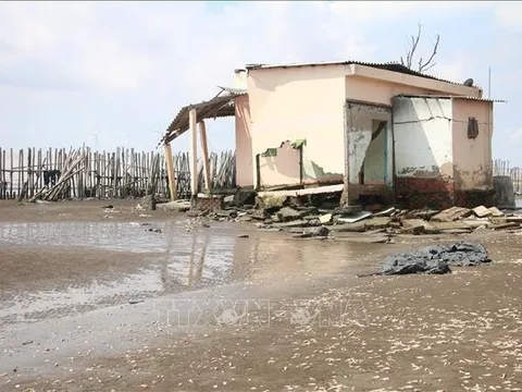 Bến Tre: Sạt lở 18 km bờ biển, cuốn trôi nhiều tài sản của người dân