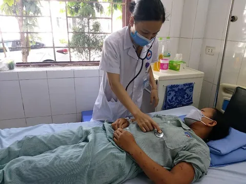Quảng Ninh: Cô gái bị ong vò vẽ đốt 70 nốt, nhập viện trong tình trạng nguy kịch