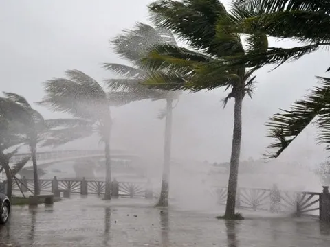 Bão Noru di chuyển rất nhanh, hướng vào miền Trung