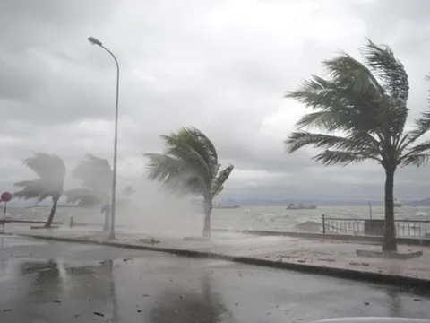 Bão Noru sẽ "quần thảo" trên đất liền 10-12 tiếng, phạm vi ảnh hưởng rất rộng