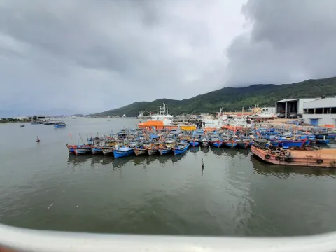 Vẫn còn 16 tàu hoạt động trong vùng nguy hiểm của bão Noru