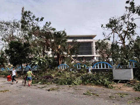 Lý Sơn tan hoang sau bão Noru: Hàng trăm ngôi nhà tốc mái, có nguy cơ mất trắng hoa màu
