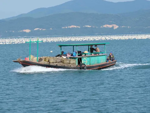 Quảng Ninh: Chìm tàu cá trên vịnh Bái Tử Long, 2 mẹ con tử vong thương tâm