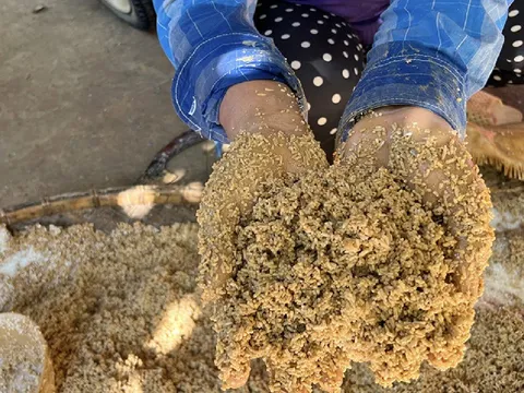 Xót xa cảnh đãi gạo lấm bùn đất ở tâm lũ Kỳ Sơn