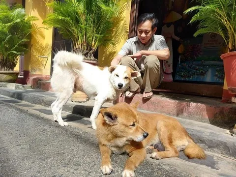 Hội An thực hiện dự án trở thành "thành phố nói không với thịt chó, mèo"