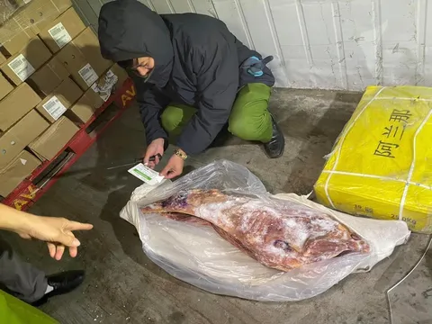 Hà Nội: Phát hiện gần 90 tấn chân gà, đùi lợn muối... quá hạn sử dụng 2 năm