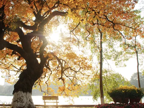 Dự báo thời tiết ngày 6/10: Bắc Bộ trời nắng; Khu vực Trung Bộ và Nam Bộ có nơi mưa to