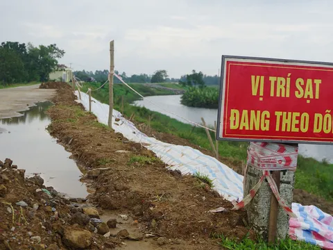 Đê sông Mã bị sụt lún, đe dọa an toàn hơn 29.000 dân
