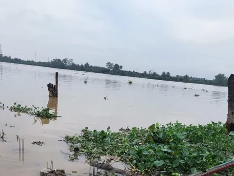Nguyên quyền Giám đốc Bệnh viện Phụ sản tỉnh Tiền Giang nhảy cầu tự tử