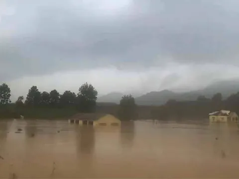 Quảng Trị: Hơn 1.300 ngôi nhà bị ngập sâu trong nước, nhiều tuyến đường nứt nghiêm trọng