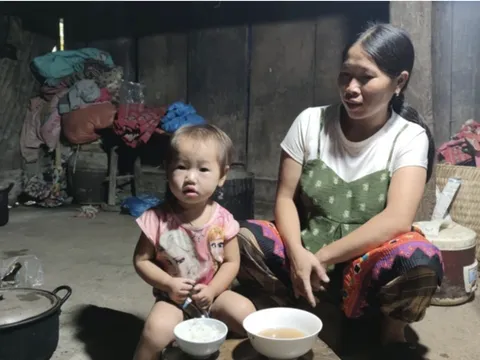 Kỷ lục buồn trên đỉnh Pà Cò: “Đẻ được con trai mới thôi”