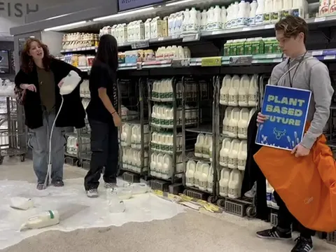 Đổ sữa ra sàn kêu gọi "chống biến đổi khí hậu"