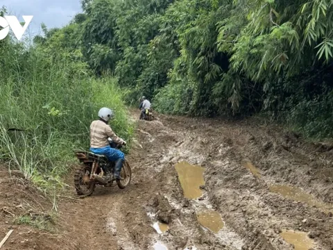 20% lực lượng bảo vệ rừng ở Đắk Nông xin nghỉ việc hoặc chuyển công tác