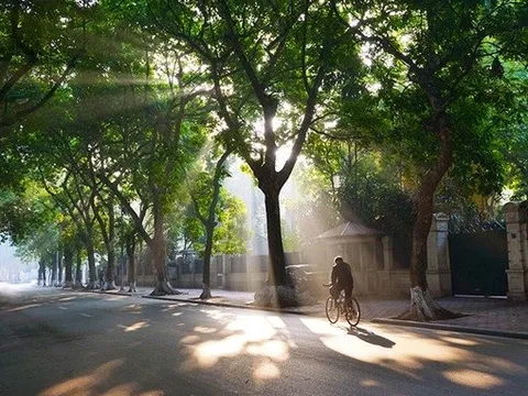 Dự báo thời tiết ngày 27/10: Miền Bắc sáng sương mù nhẹ, miền Nam mưa lớn